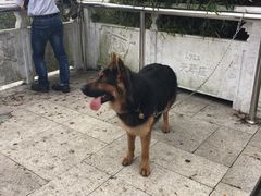 -上海佘山国家森林公园西佘山园