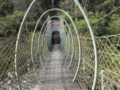 -海南热带雨林国家公园吊罗山景区