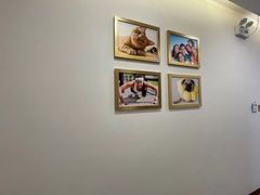 -维乐口腔(格林门诊长宁店)