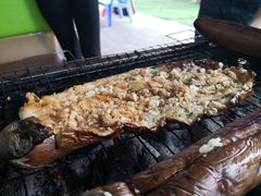 -大象营野Life营地·钓虾(坦尾店)