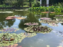 -国家植物园南园