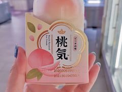 -T11生鲜超市(朝阳公园店)