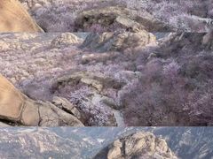 -北京凤凰岭