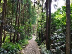 -狼山风景名胜区