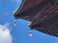 -盘龙寺