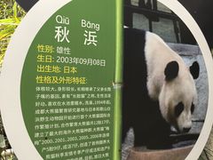 -深圳野生动物园