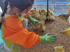 -怪兽屋·羊驼·猫咖·狗咖(俊华广场店)