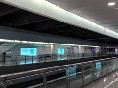 -龙阳路磁悬浮列车总站-停车场