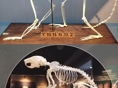 -国家自然博物馆