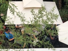 -老洋房花园饭店(绍兴路店)