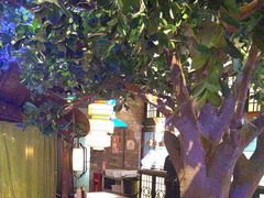 -绿茶餐厅(深圳龙华天虹购物中心店)