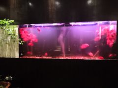 -大唐盲人按摩中心(黄山路店)