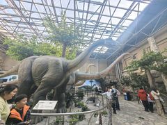 -国家自然博物馆