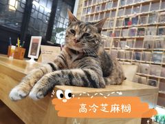 -猫的天空之城概念书店(杭州南宋御街店)