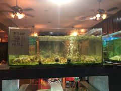 -真浪大家乐海鲜餐馆