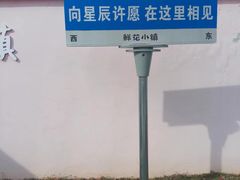 -南通鲜花小镇
