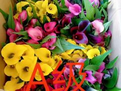 -金陵之星大酒店·中餐厅