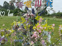 -紫颐香薰山谷景区