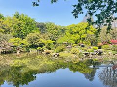 -杭州植物园