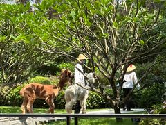 -南宁荔园维景国际酒店·荔园中餐厅