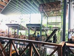 -Rainforest