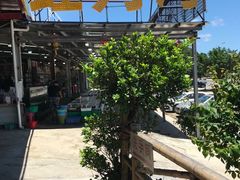 -红月湾海鲜饭店•沙滩海景(双月湾店)