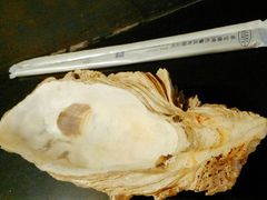 -土蚝·高压锅生蚝(百姓美食街店)
