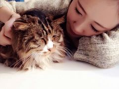 android_upload_pic-Anne猫窝咖啡屋