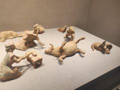 -徐州博物馆
