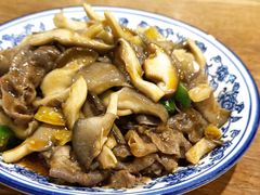 -西北狼(GOGO新天地店)