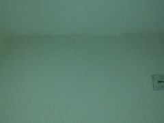 -龙凤禧毛肚火锅(阳光舜城店)