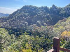 -大岭沟猕猴桃谷风景区