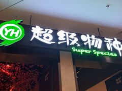 -超级物种·波龙工坊(国贸店)