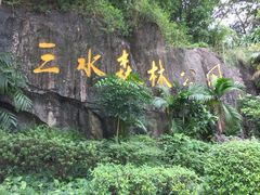 -三水森林公园