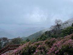 -广州市石门国家森林公园