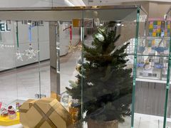 -乐天免税店(明洞店)