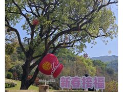 -云溪植物园