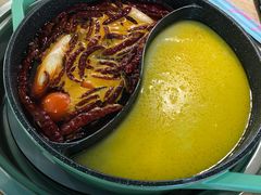 -青瓷火锅料理(西单大悦城店)