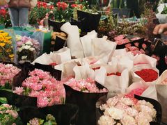 -秦美花卉(天朗·莱茵小城2期店)