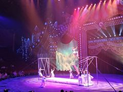 -珠海横琴长隆《卡卡虎奇遇记》