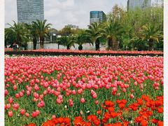 -大宁郁金香公园-停车场