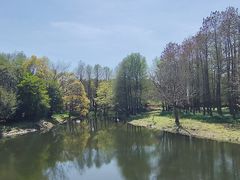 -上海滨江森林公园