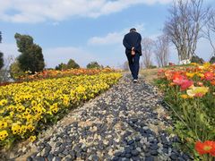 -白鹭湾湿地公园