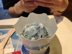 海盐麦旋风-麦当劳(顺义店)