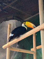 -Zoolung Zoolung动物主题公园(海信广场店)