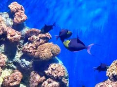 -福州罗源湾海洋世界旅游区