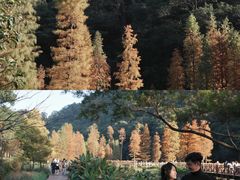 -广州市石门国家森林公园