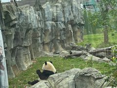 -武汉动物园