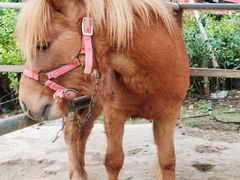 -恒大·海上威尼斯售楼处