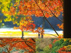 -九曜山